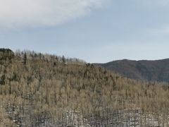 -和雅集素斋(景区店)
