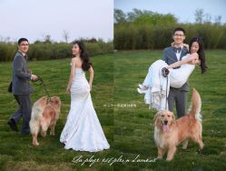 -二十一世纪婚纱摄影(省府前街店)