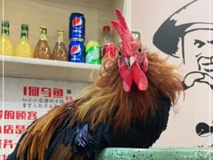 -重庆何乌鱼(南湖逸家店)
