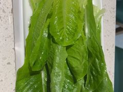 -九孔·筒骨莲藕汤锅(大明宫万达店)