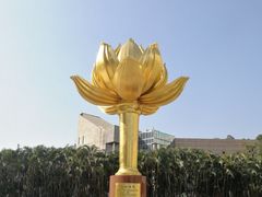 -金莲花广场