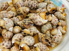 -金贝壳海鲜加工坊(田和活鲜水产市场店)