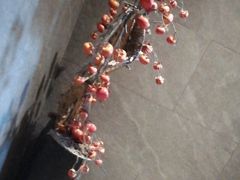 -星河湾温泉洗浴酒店