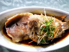 清蒸红宝石鱼-范饭椰林川湘味海鲜·椰子鸡(三亚湾椰梦长廊店)