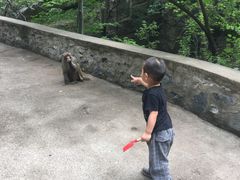 -北京上方山国家森林公园