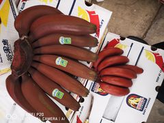 -东方鼎信农副产品交易中心