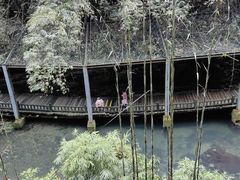 -三峡人家风景区