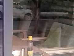 -成都康二姐串串香(大理店)