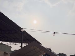 -DGE季风钓虾营地·团建·聚会