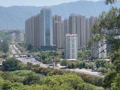 -金鸡山公园