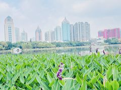 -南宁南湖公园