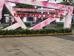 -圩墩遗址公园