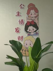 -寇氏减肥