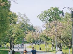 -东湖落雁景区