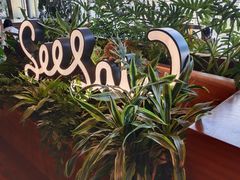 -Seesaw Coffee(朝阳大悦城店)