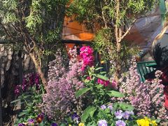 -三鹰之森吉卜力美术馆