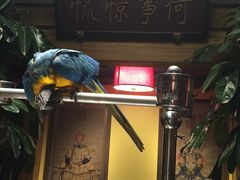 -那家小馆•北京菜•烤鸭(中关村店)