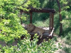 -石家庄市动物园