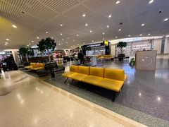 -约翰·菲茨杰拉德·肯尼迪国际机场