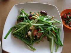 青龙菜-大树下海鲜饭店