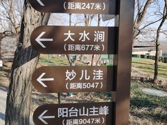 -阳台山自然风景区