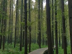 -上海怡沁园度假酒店