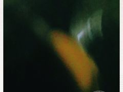 -怀托摩萤火虫洞