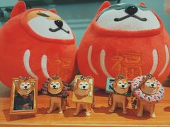 -柴务处·柴犬主题狗咖