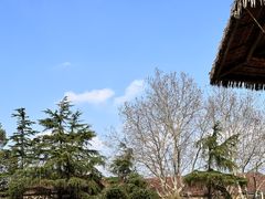 -上海野生动物园