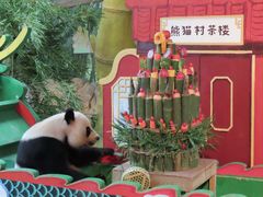 -广州长隆野生动物世界
