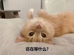 -上海静安昆仑大酒店