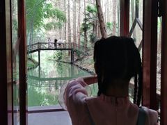 -同里国家湿地公园