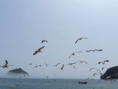 -棒棰岛宾馆景区