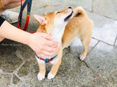 -Tiffany & Co.蒂芙尼
(南京德基广场店)