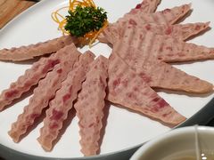 -春润大地海南椰子鸡(沙井京基百纳广场店)