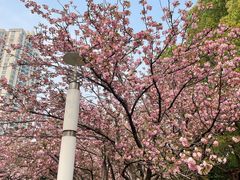 -苏州河梦清园环保主题公园