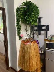 -呼拉汇舞蹈生活馆 Hawaii Hula&Tahiti Dance Studio