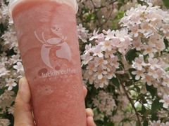莓莓芝士茉香茶-瑞幸咖啡(北工大理科楼店)