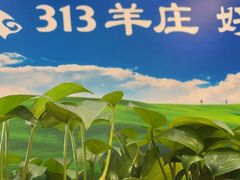 -313羊庄铁锅烀羊肉(望京店)