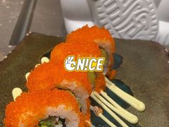 -岭南站NOVA