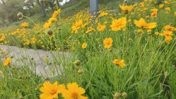 -龙子湖迎宾馆·宴会