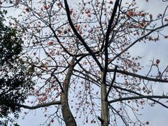 -晓港公园