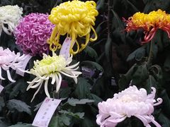 -共青国家森林公园-售票处