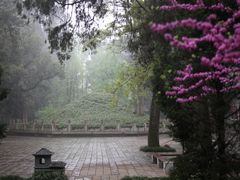 -武侯墓风景区