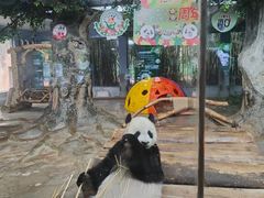 -海南热带野生动植物园