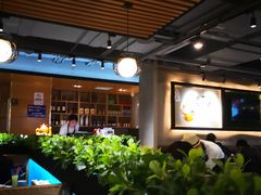 大堂-东椰·海南椰子鸡火锅(朝阳门店)