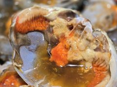 -蜀都冒菜·酱蟹生腌