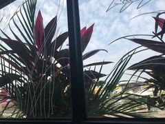 -探鱼·鲜青椒爽麻烤鱼(天河优托邦店)