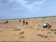 -日照海滨国家森林公园