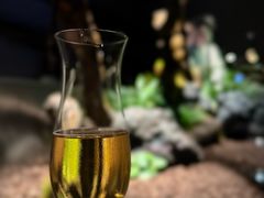 -曲廊院(东四十一条店)